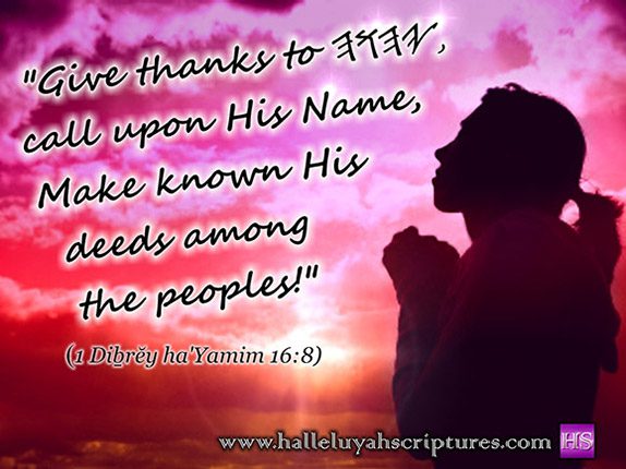 praise His Name