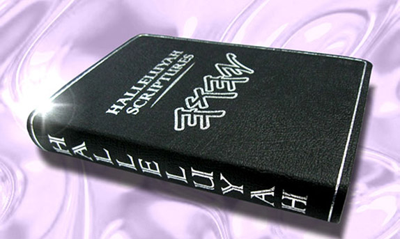 HSLeather1 Special Leather bound copies of H.S.