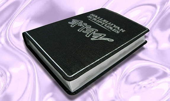 HSLeather2 Special Leather bound copies of H.S.