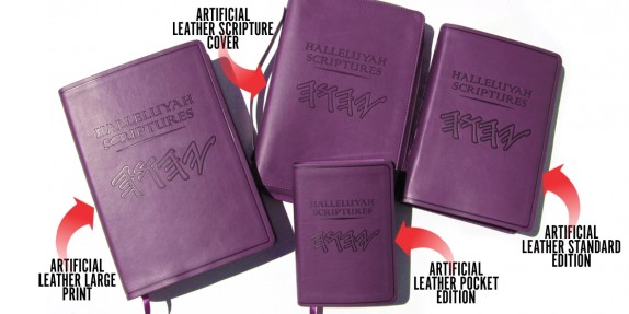 HSFakeLeatherColl2