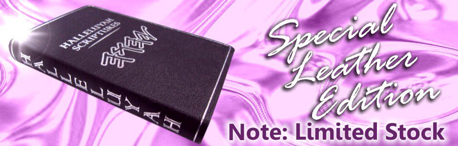 LeatherBanner H.S. Special Leather Edition
