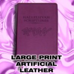Large Print Edition Update and Order