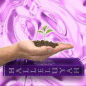 HalleluYah Scriptures Donations