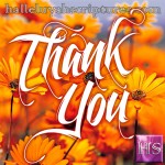 Thank You For Bearing With Us Over the Server Change