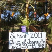 sukkoth-3
