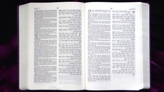 HalleluYah Scriptures Review + Parallel + Hebrew Bible + Sacared Bible + Restored Name Bible + The Best Bible + The Scriptures & Cepher Yahweh & Yahwah & waterproof bible & Hebrew 2