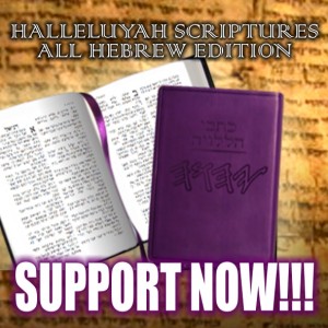 HalleluYah Scriptures Parallel + Hebrew Bible + Sacared Bible + Restored Name Bible + The Best Bible 3