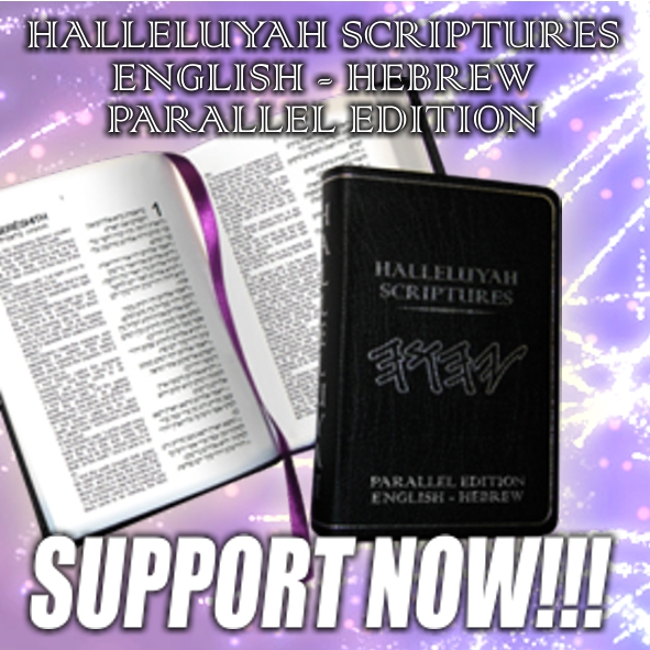 Hebrew/English & All Hebrew Special Edition Bibles Completed – Please Support & Watch The New Video Now!!!