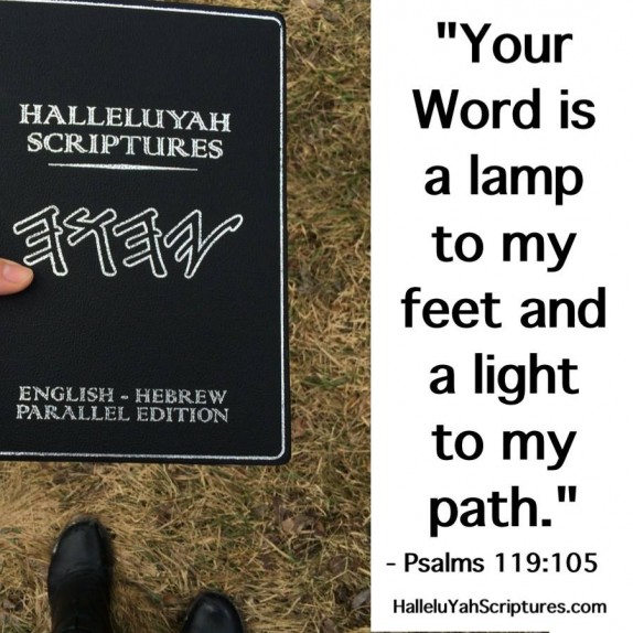halleluyah-scriptures-review-restored-name-bible-best-bible-cepher-the-scriptures-hebrew-roots-bible-sacared-name-bible-india-shipment-1abb22