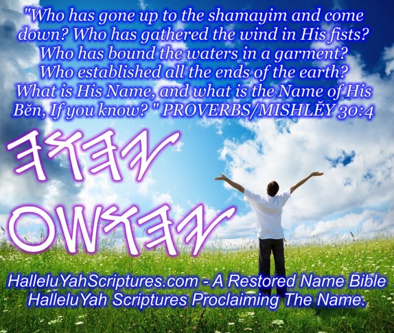 HalleluYah Scriptures Parallel + Hebrew Bible + Sacared Bible + Restored Name Bible + The Best Bible & Devine Name Bible + The Scriptures & Cepher Yahweh 9