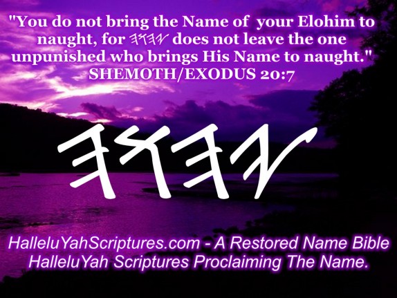 HalleluYah Scriptures Parallel + Hebrew Bible + Sacared Bible + Restored Name Bible + The Best Bible & Devine Name Bible + The Scriptures & Cepher Yahweh 6