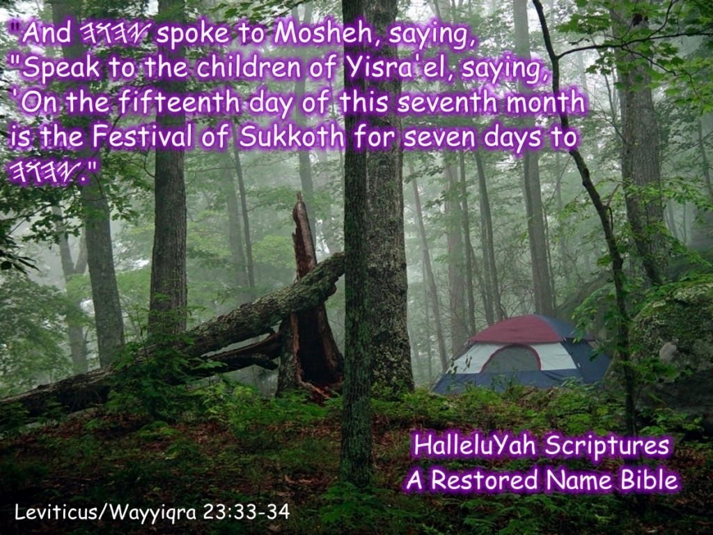 Sukkoth+booths+HalleluYah Scriptures + Israel+Bible 3