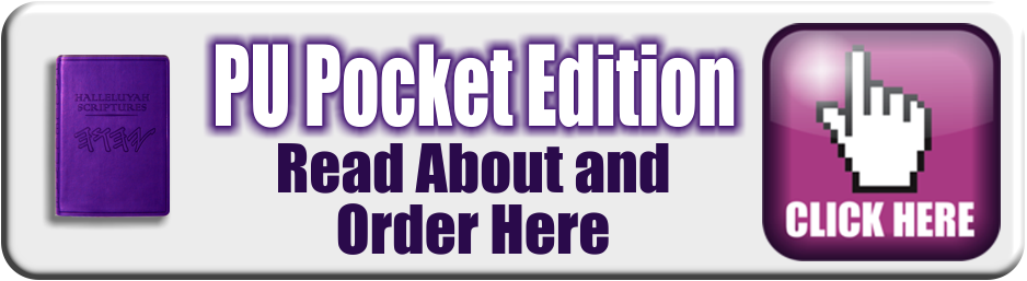  PU Pocket Edition Order Img