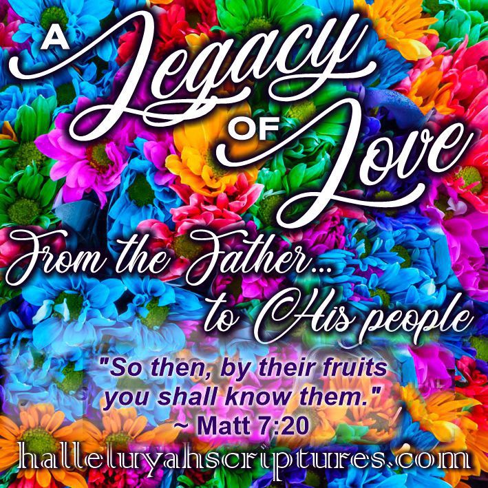 Fruits of Your Donations – Legacy of Love Video.