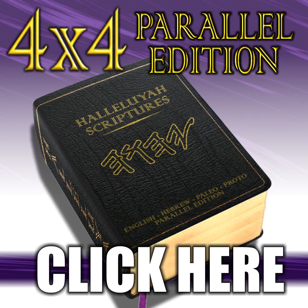 Leather Bible Cover PDF Pattern for Halleluyah Bible - MPR Leatherworks